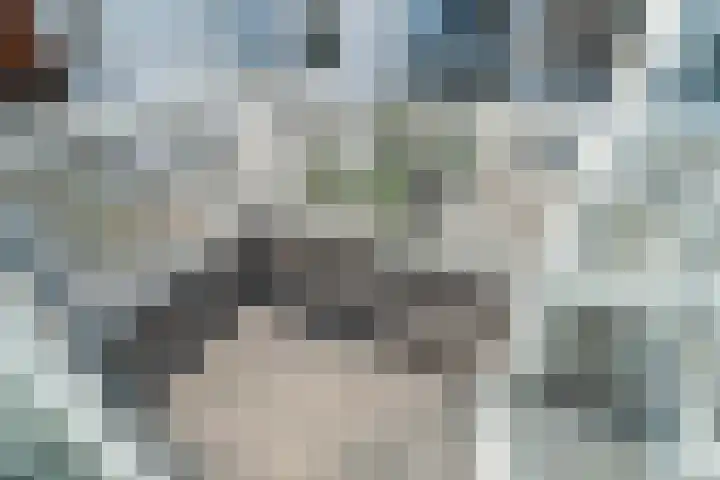 Mijnbouwstraat 2 Delft thumbnail 38