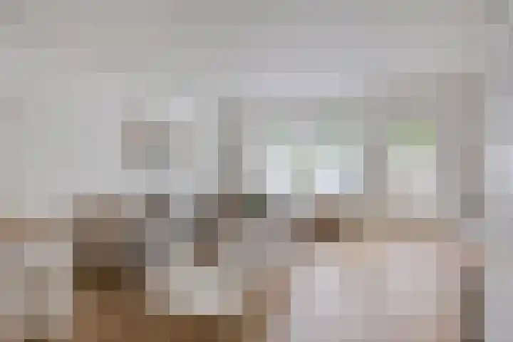 Mijndenhof 1 Amsterdam thumbnail 15