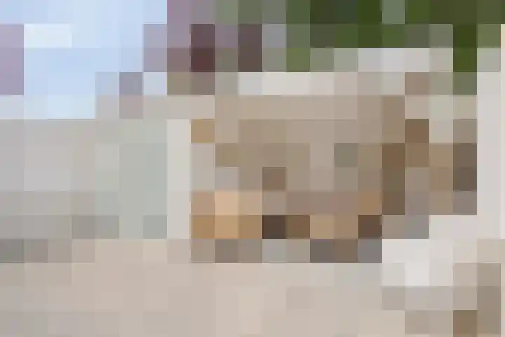 Mijndenhof 1 Amsterdam thumbnail 4