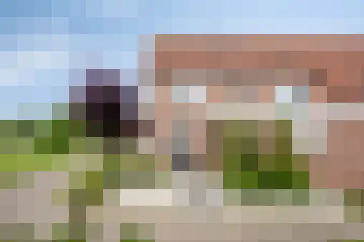 Mijndenhof 1 Amsterdam thumbnail 5