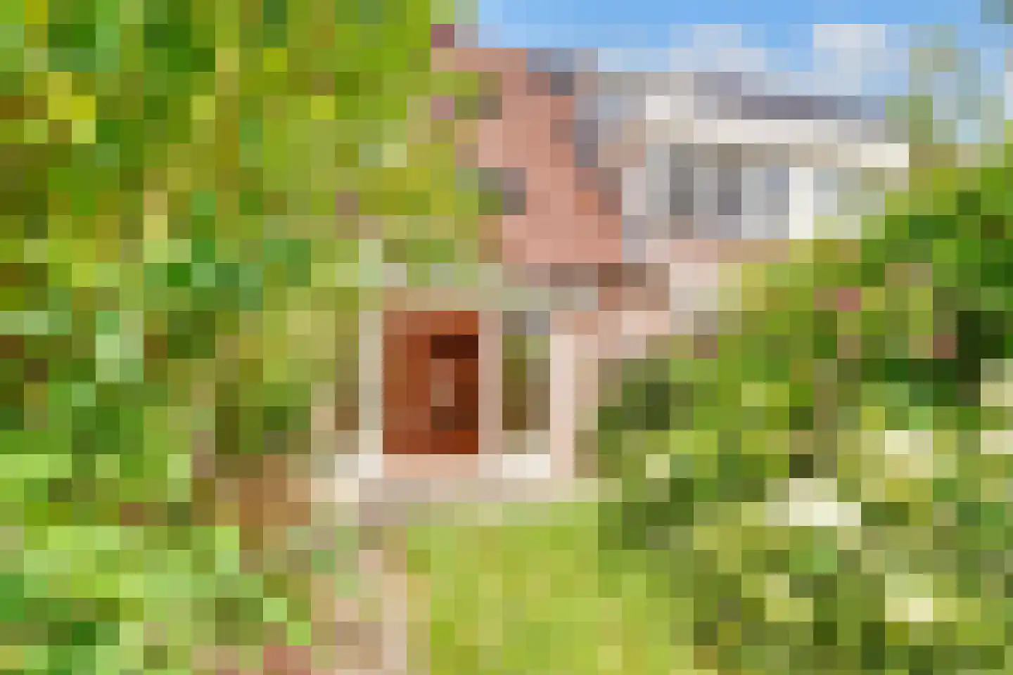 Mijndenhof 107 Amsterdam thumbnail 28