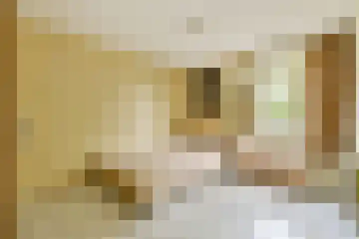 Mijndenhof 26 Amsterdam thumbnail 16