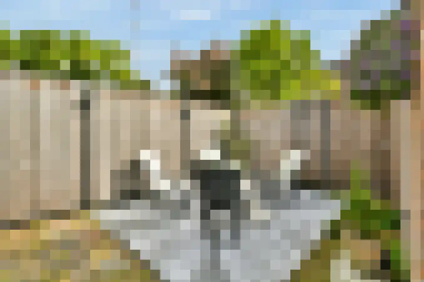 Mijndenhof 70 Amsterdam thumbnail 7