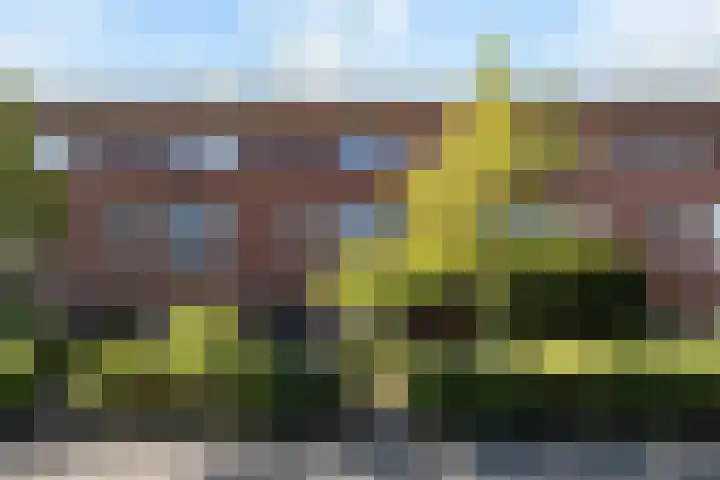 Mijndenpolder 12 en De Meern