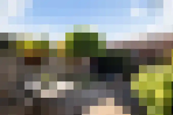 Mijndenpolder 12 De Meern thumbnail 14