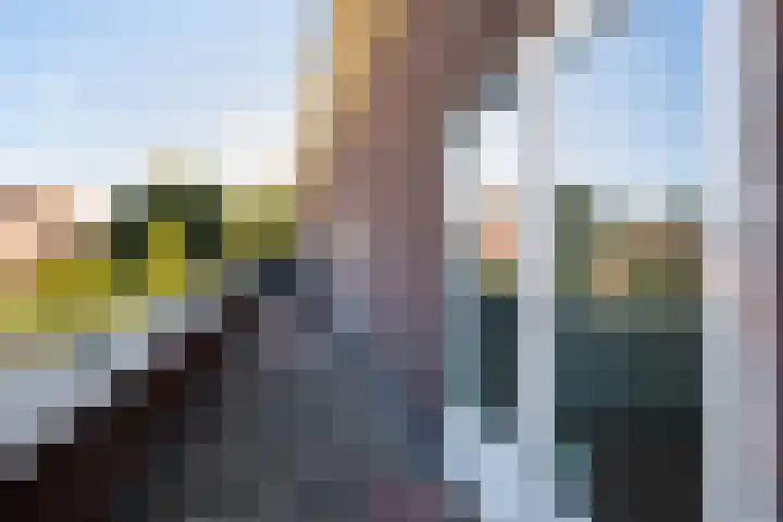Mijndenpolder 12 De Meern thumbnail 45
