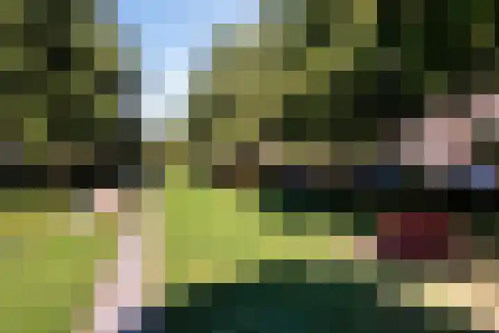 Mijndenpolder 12 De Meern thumbnail 46