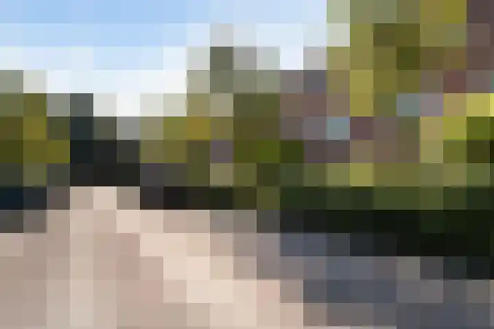 Mijndenpolder 12 De Meern thumbnail 5