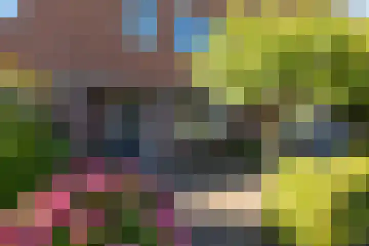 Mijndenpolder 12 De Meern thumbnail 6