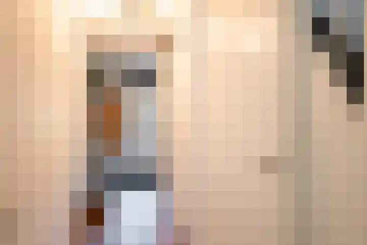 Mijndenpolder 12 De Meern thumbnail 8