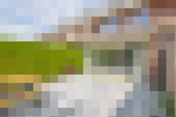 Mijndenpolder 6 De Meern thumbnail 22