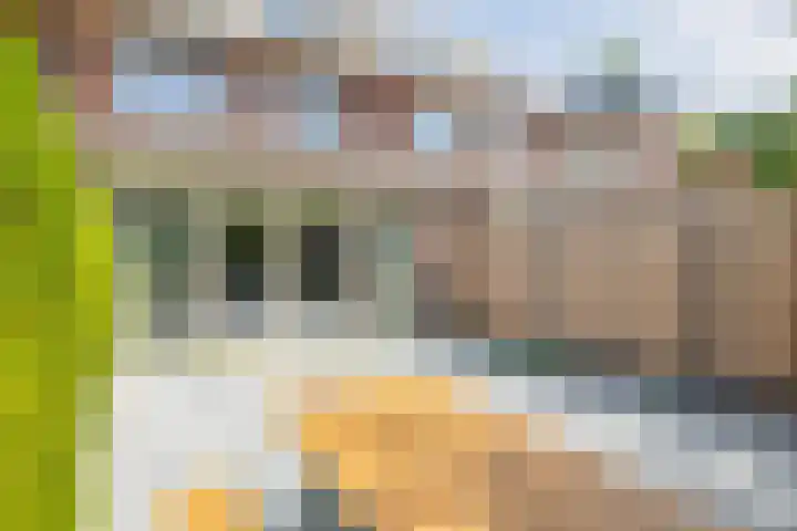 Mijndenpolder 6 De Meern thumbnail 24