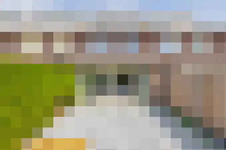 Mijndenpolder 6 De Meern thumbnail 25