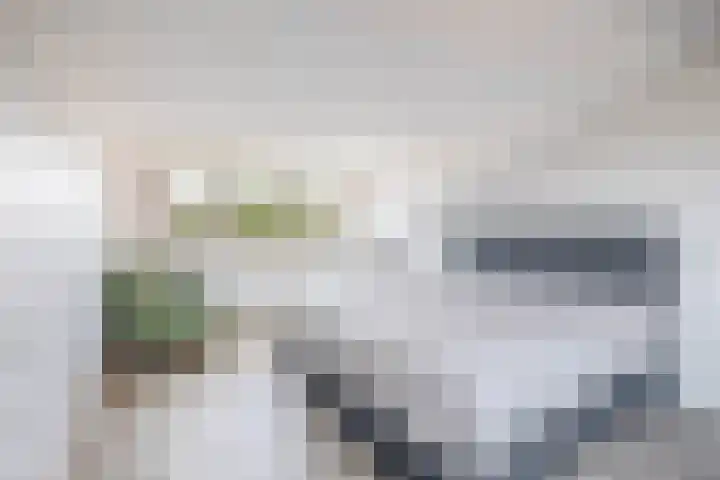Mijndenpolder 6 De Meern thumbnail 26