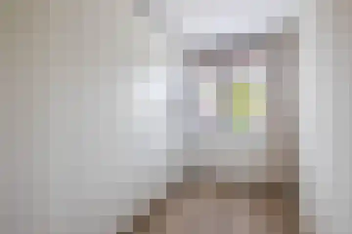 Mijndenpolder 6 De Meern thumbnail 35