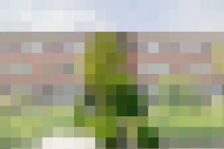Mijndenpolder 6 De Meern thumbnail 5