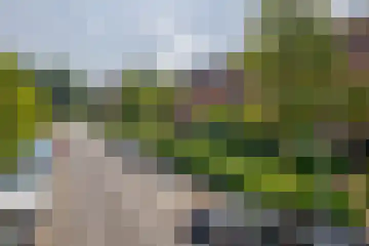 Mijndenpolder 6 De Meern thumbnail 6