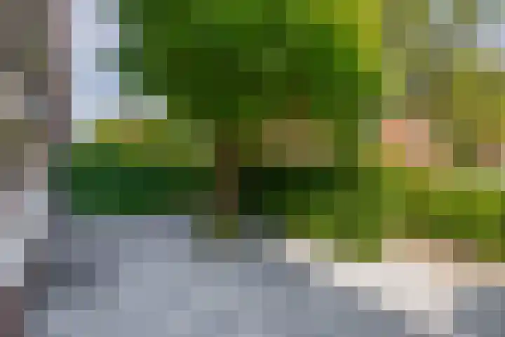 Mijndenpolder 6 De Meern thumbnail 9