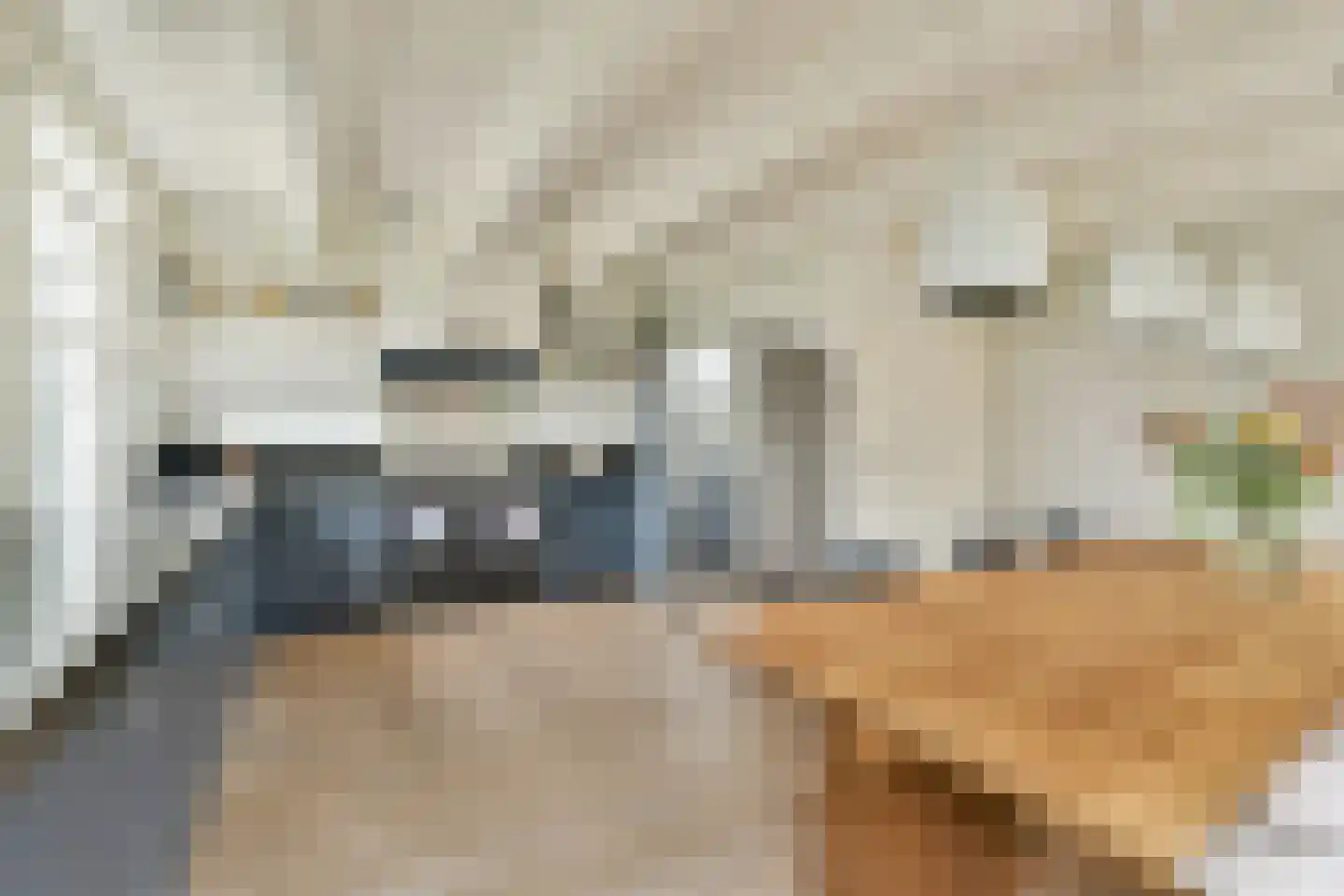 Mijndensedijk 13 Loenen aan de Vecht thumbnail 11