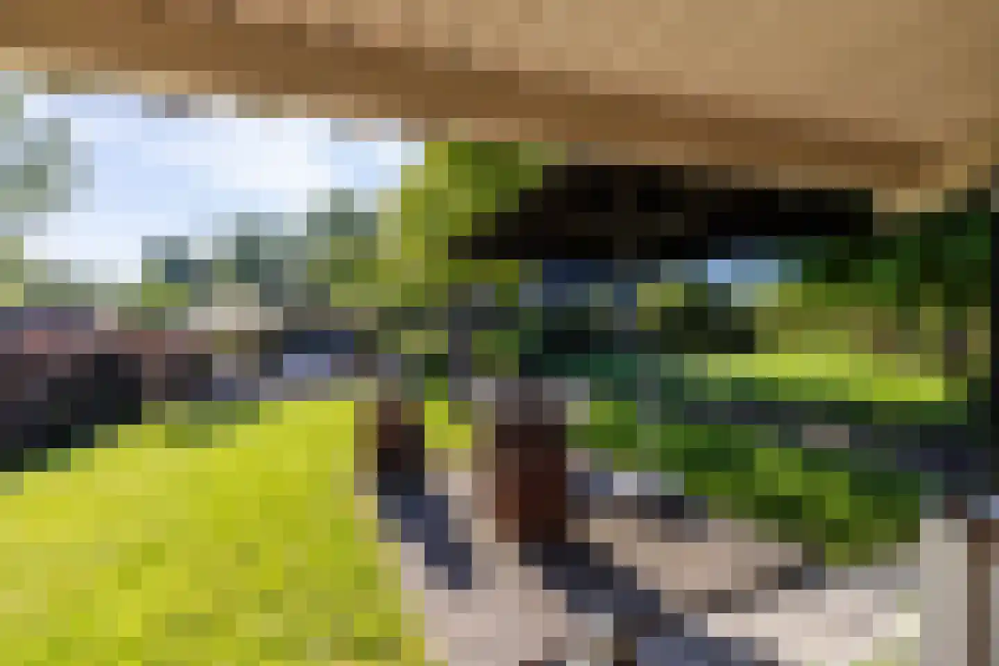 Mijndensedijk 17 Loenen aan de Vecht thumbnail 32