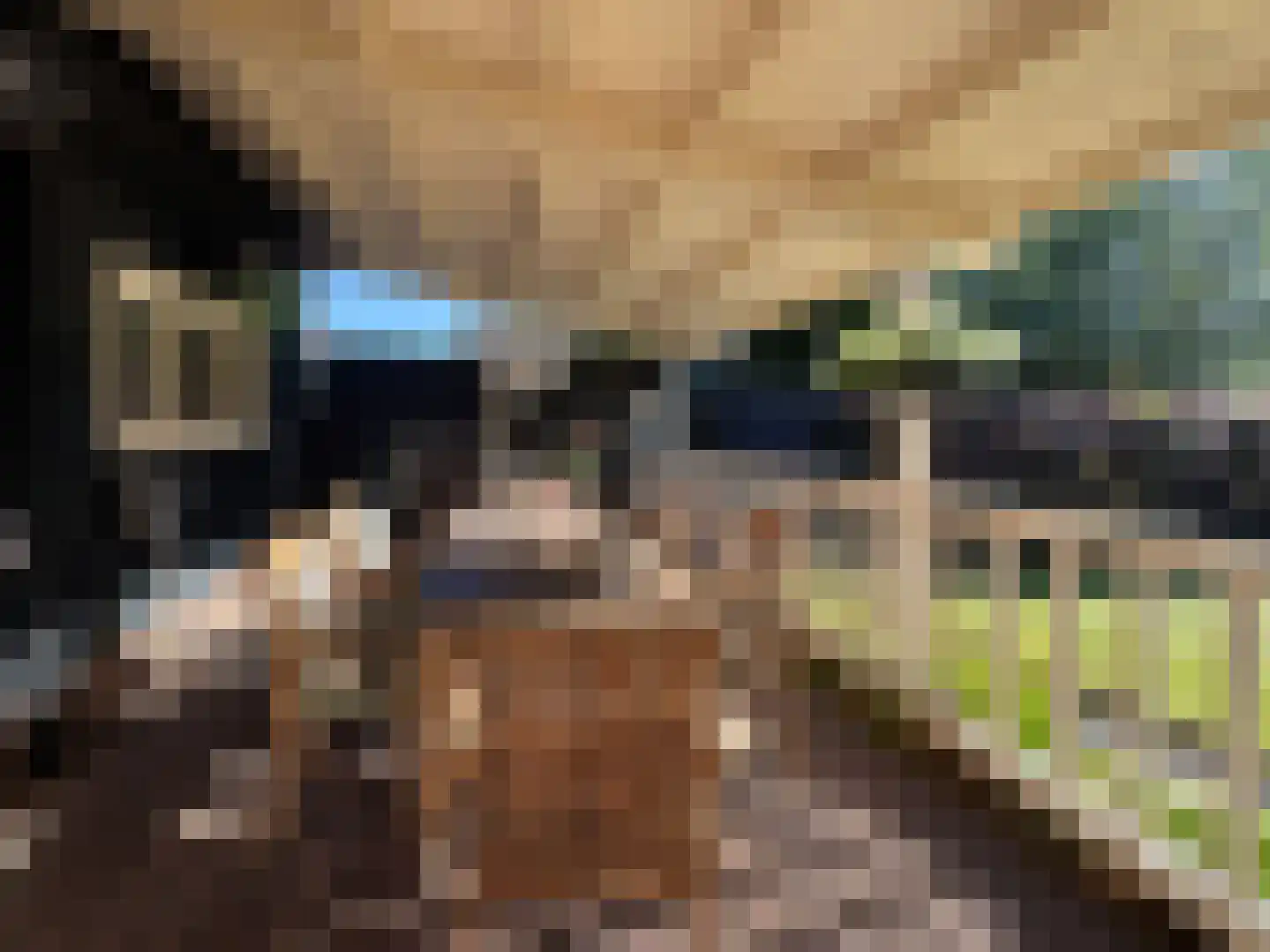 Mijndensedijk 17 Loenen aan de Vecht thumbnail 5