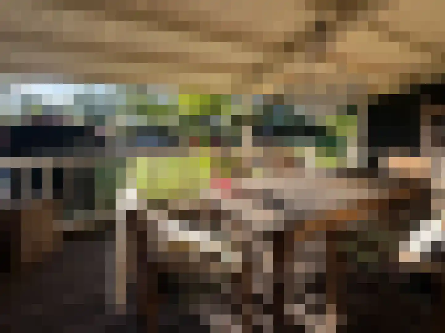 Mijndensedijk 17 Loenen aan de Vecht thumbnail 6