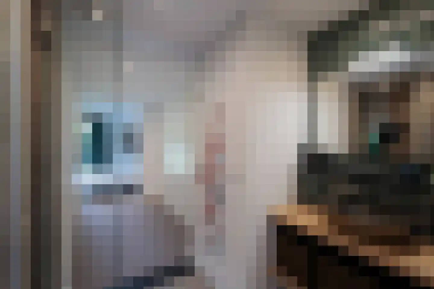 Mijndensedijk 78 Nieuwersluis thumbnail 15