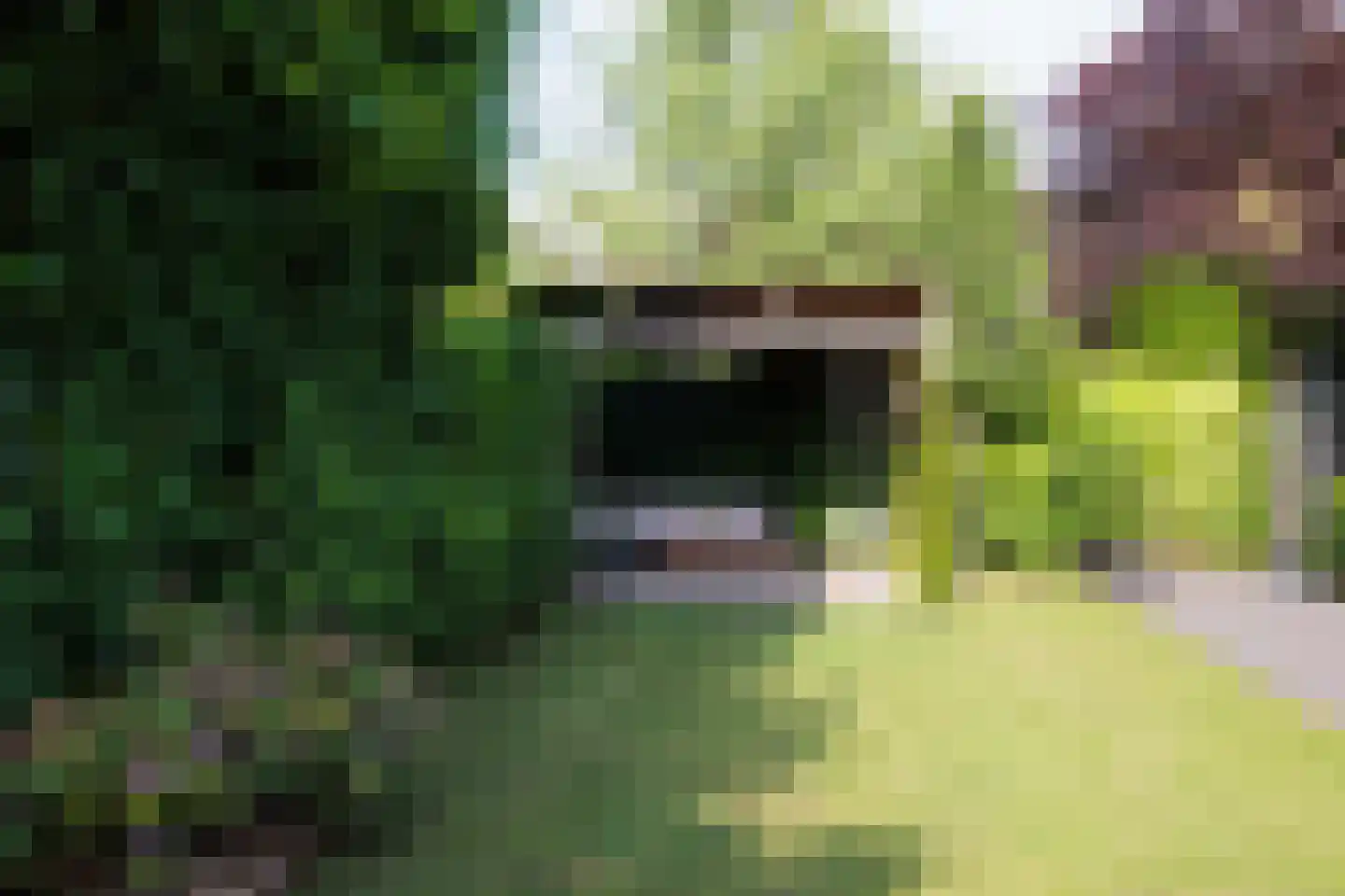 Mijndensedijk 78 Nieuwersluis thumbnail 29