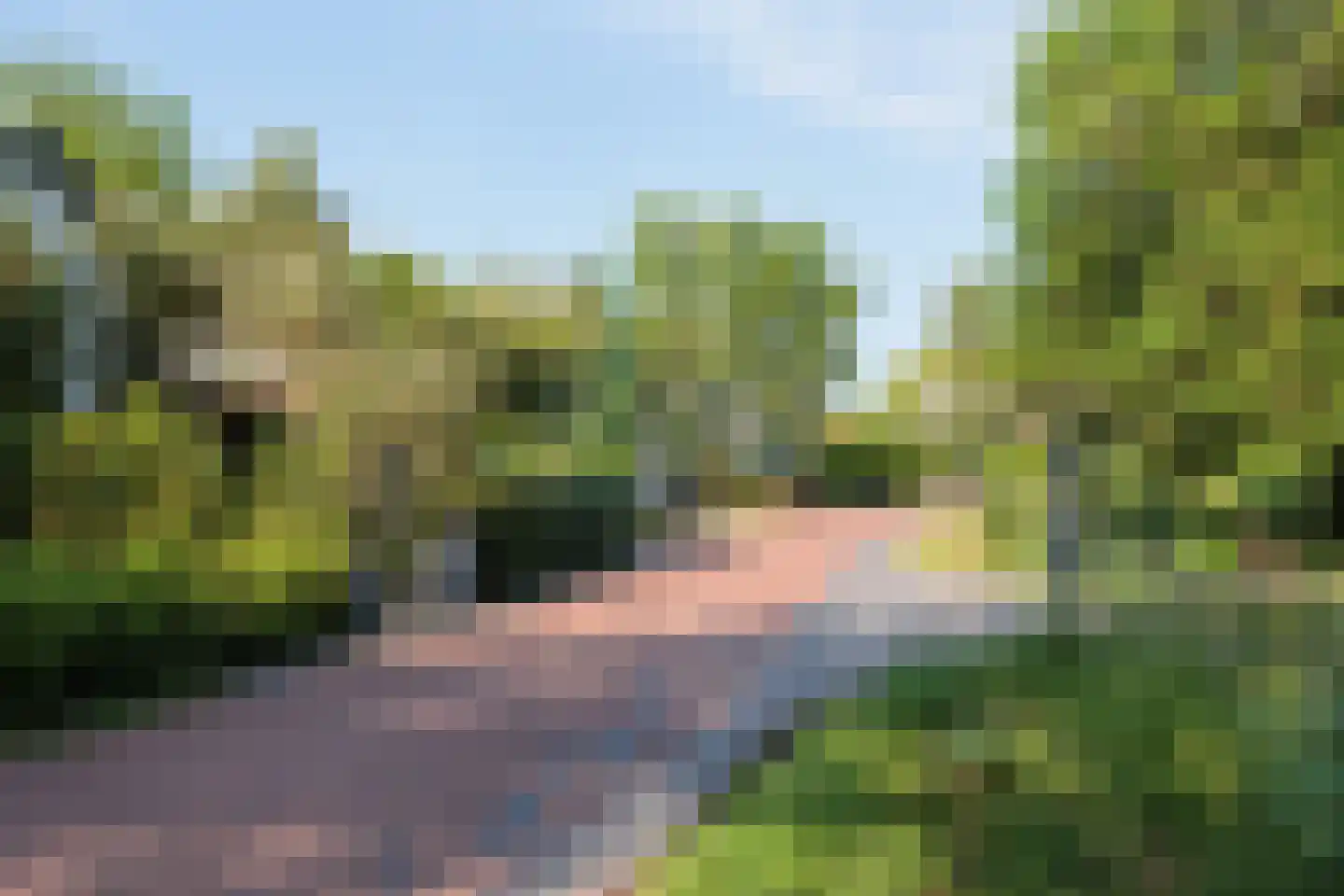 Mijndensedijk 78 Nieuwersluis thumbnail 36