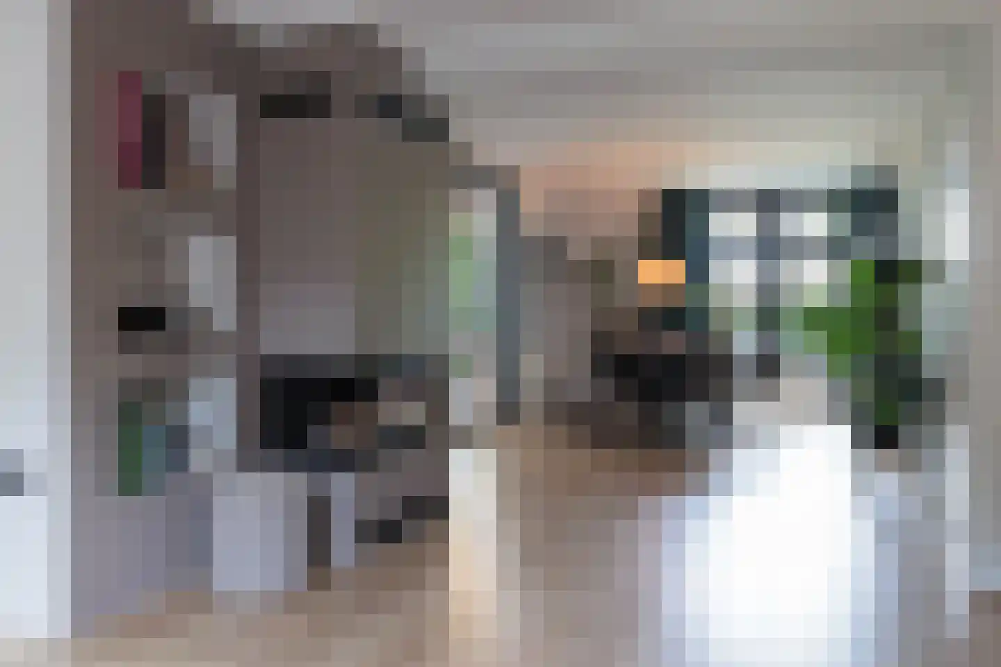 Mijndensedijk 78 Nieuwersluis thumbnail 9