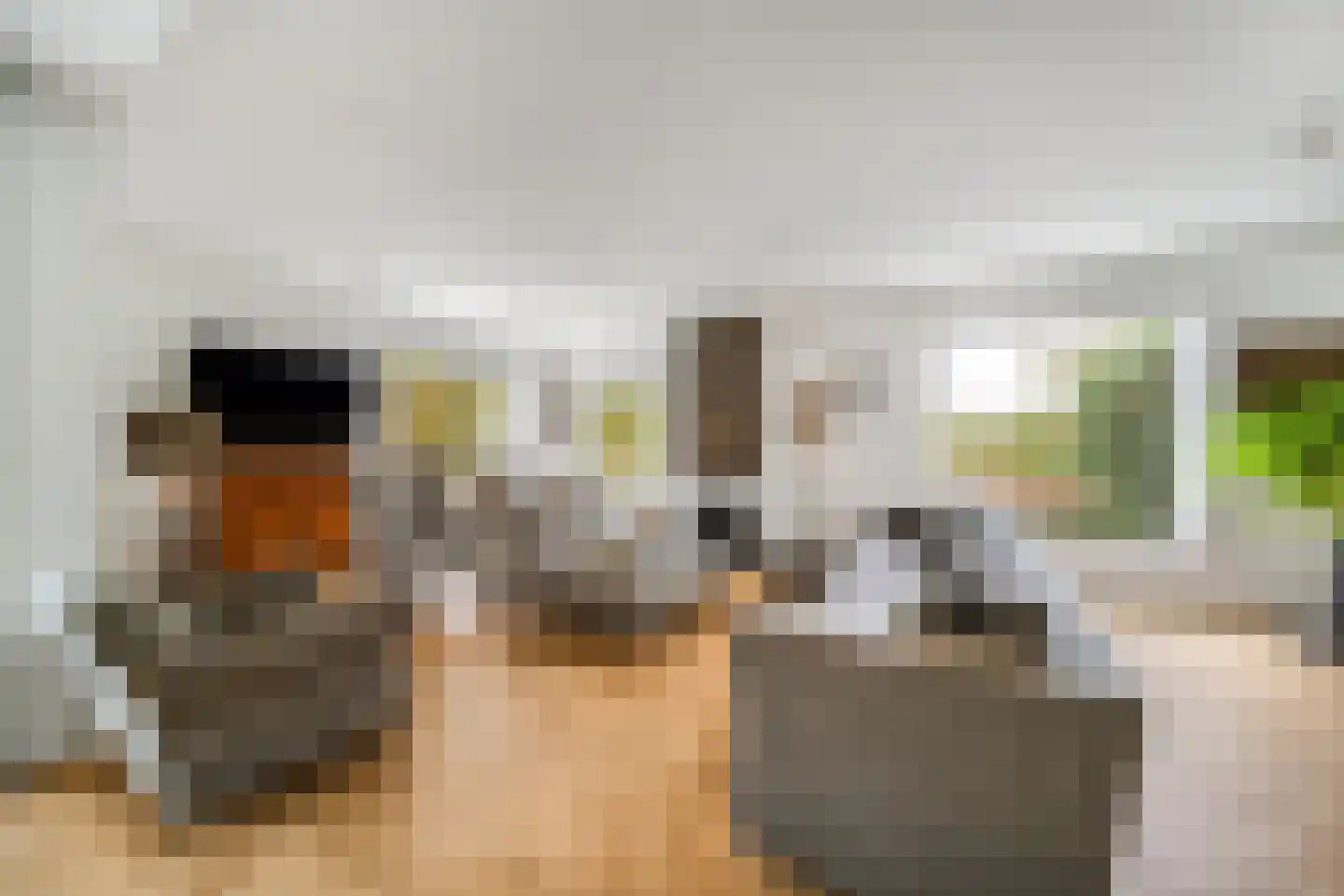 Mijndensedijk 86 Nieuwersluis thumbnail 12