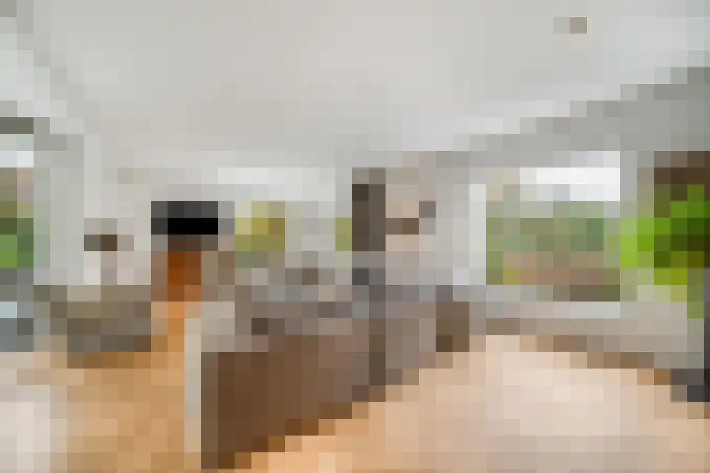 Mijndensedijk 86 Nieuwersluis thumbnail 13