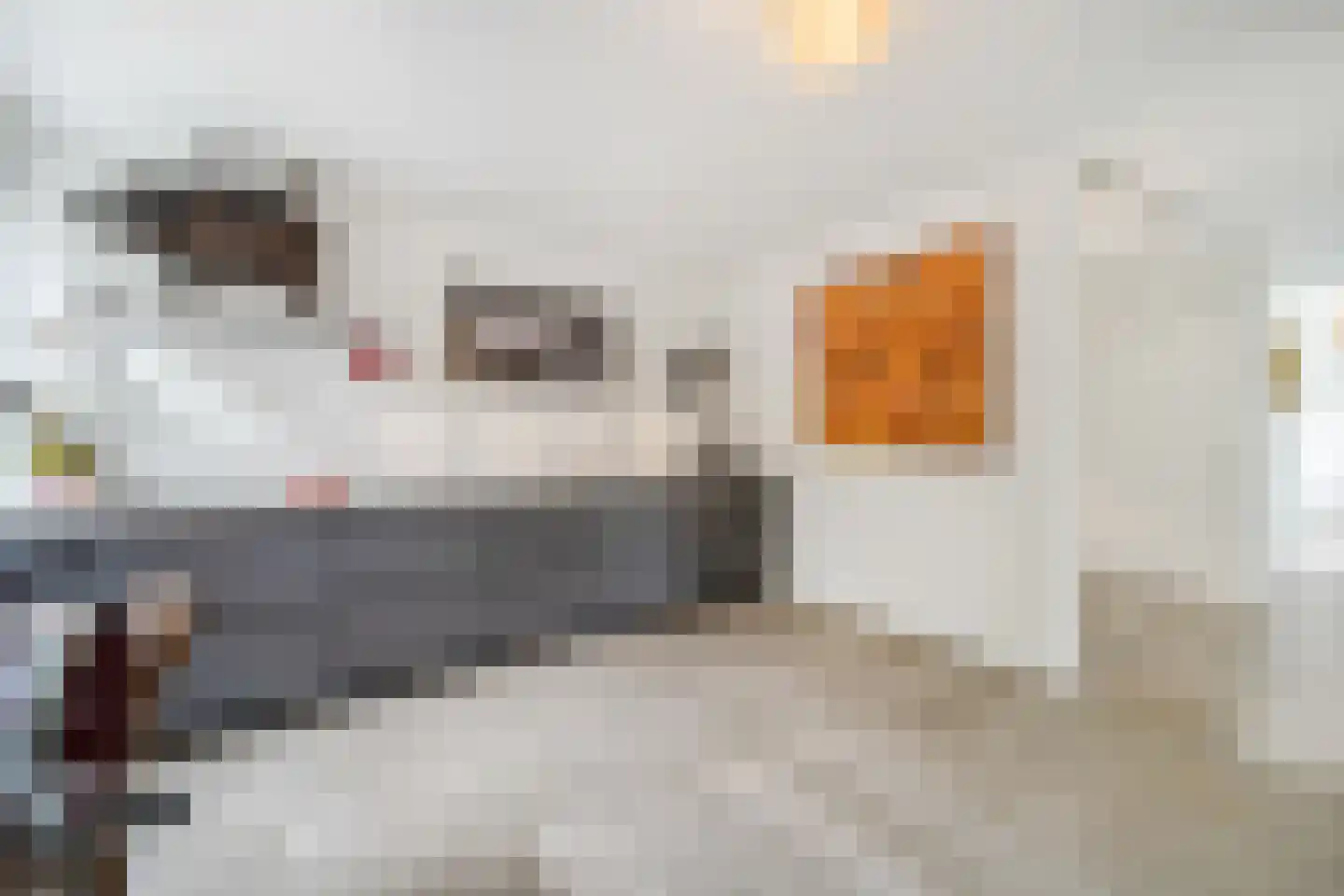 Mijndensedijk 86 Nieuwersluis thumbnail 19