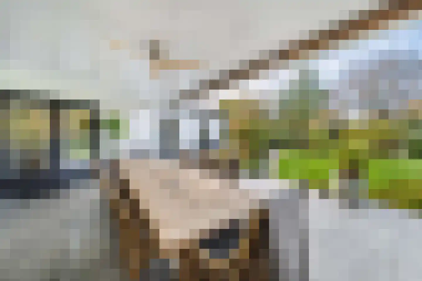 Mijndensedijk 86 Nieuwersluis thumbnail 23
