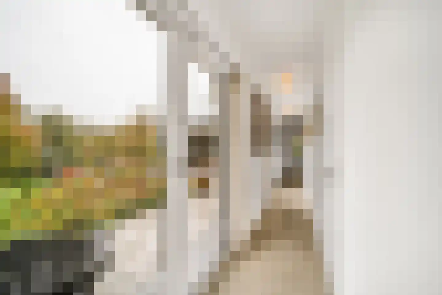 Mijndensedijk 86 Nieuwersluis thumbnail 32
