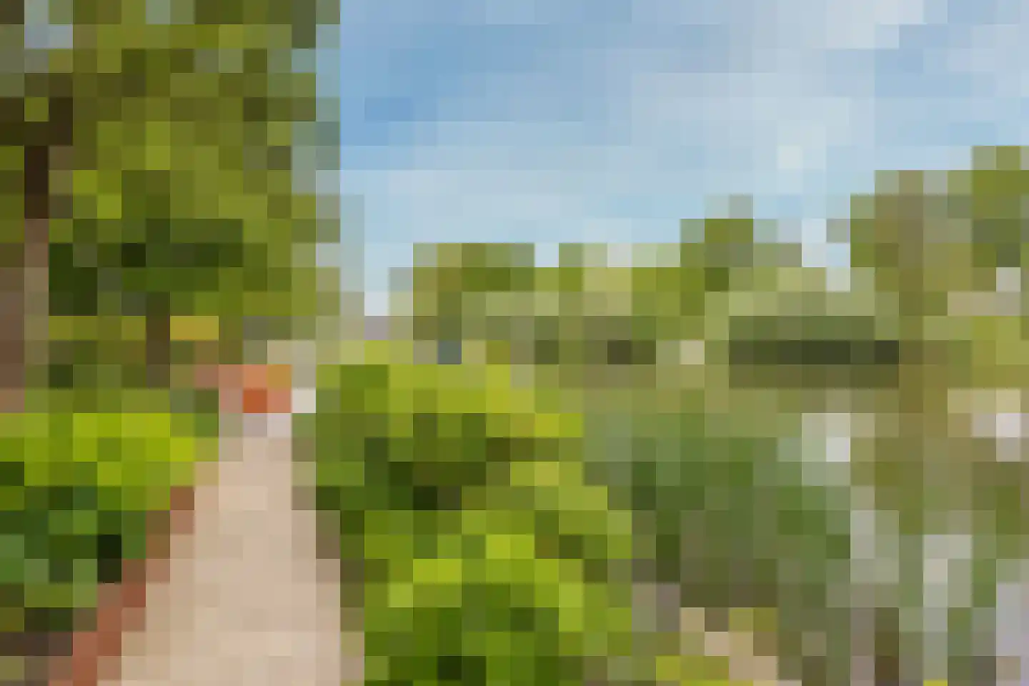 Mijndensedijk 86 Nieuwersluis thumbnail 41
