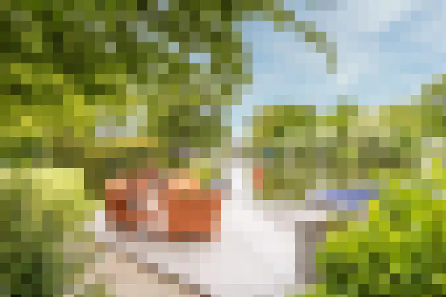 Mijndensedijk 86 Nieuwersluis thumbnail 43