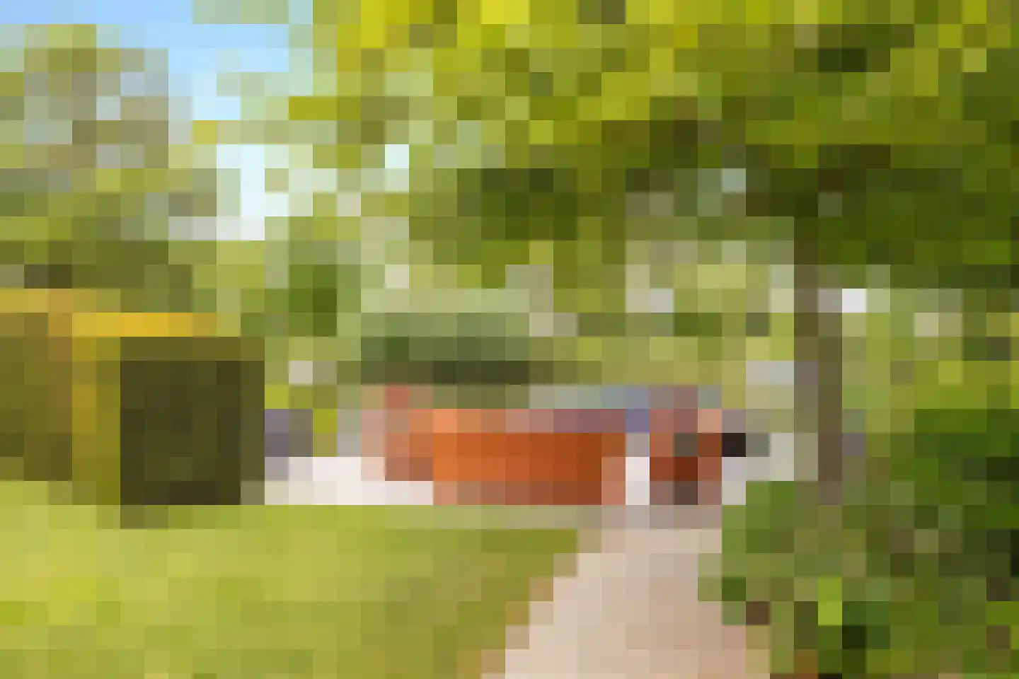 Mijndensedijk 86 Nieuwersluis thumbnail 44