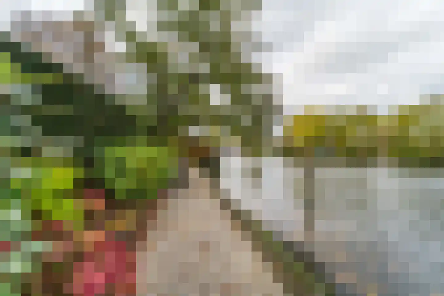 Mijndensedijk 86 Nieuwersluis thumbnail 5
