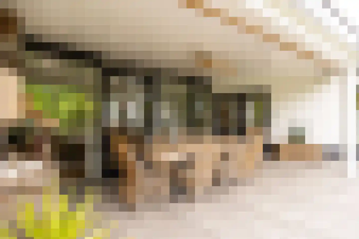 Mijndensedijk 86 Nieuwersluis thumbnail 50