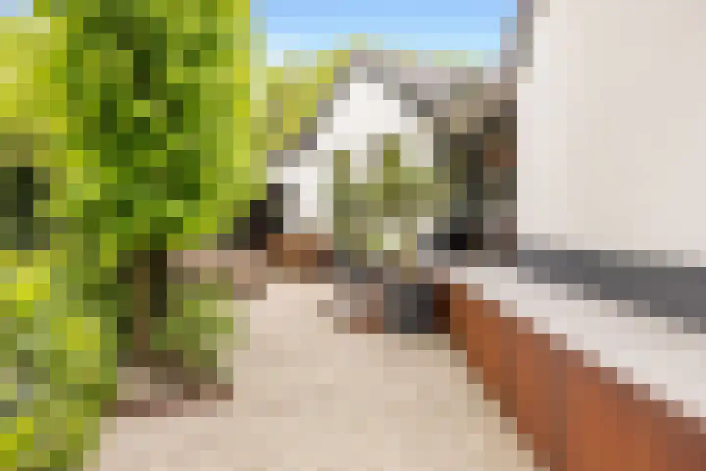 Mijndensedijk 86 Nieuwersluis thumbnail 52