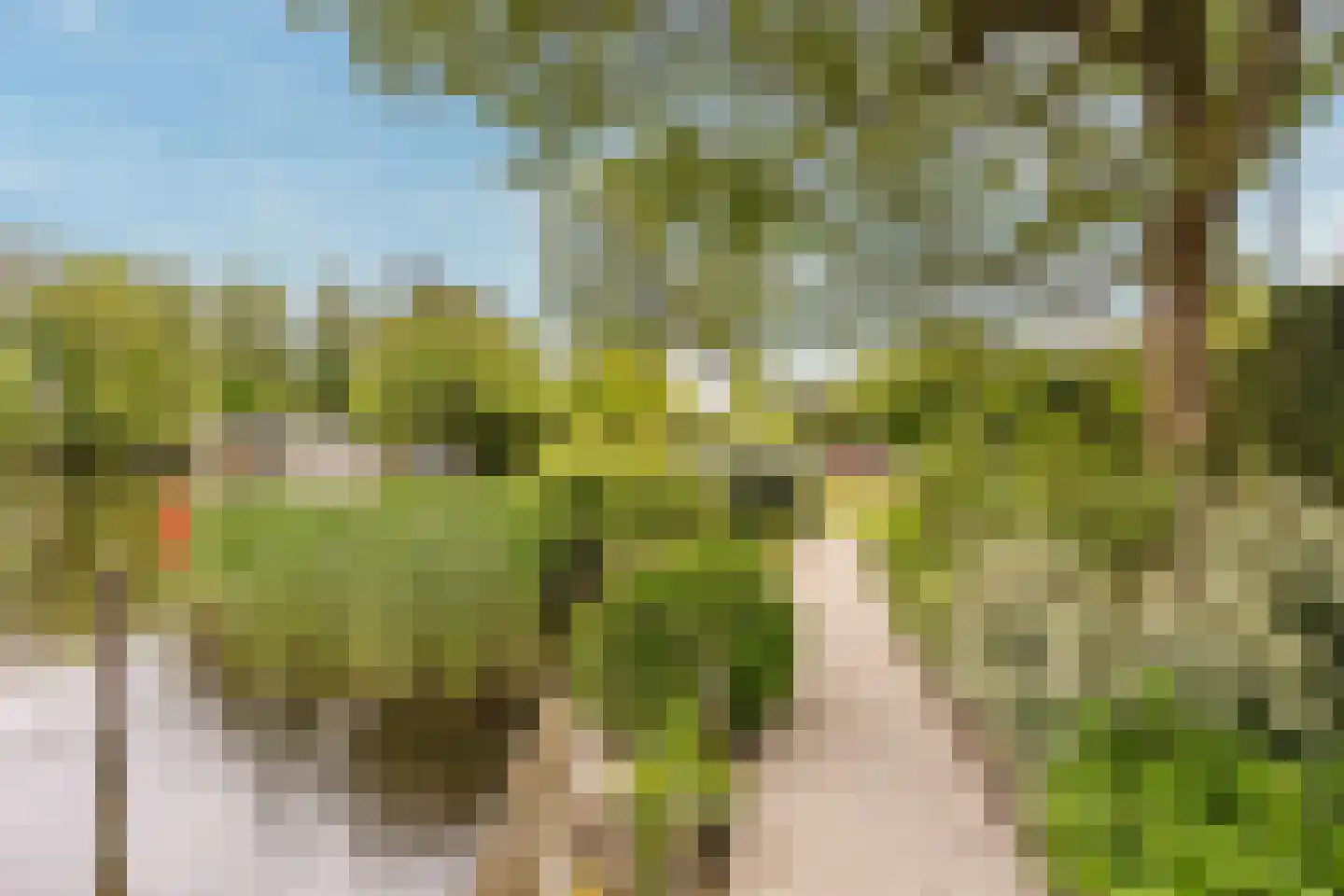 Mijndensedijk 86 Nieuwersluis thumbnail 54