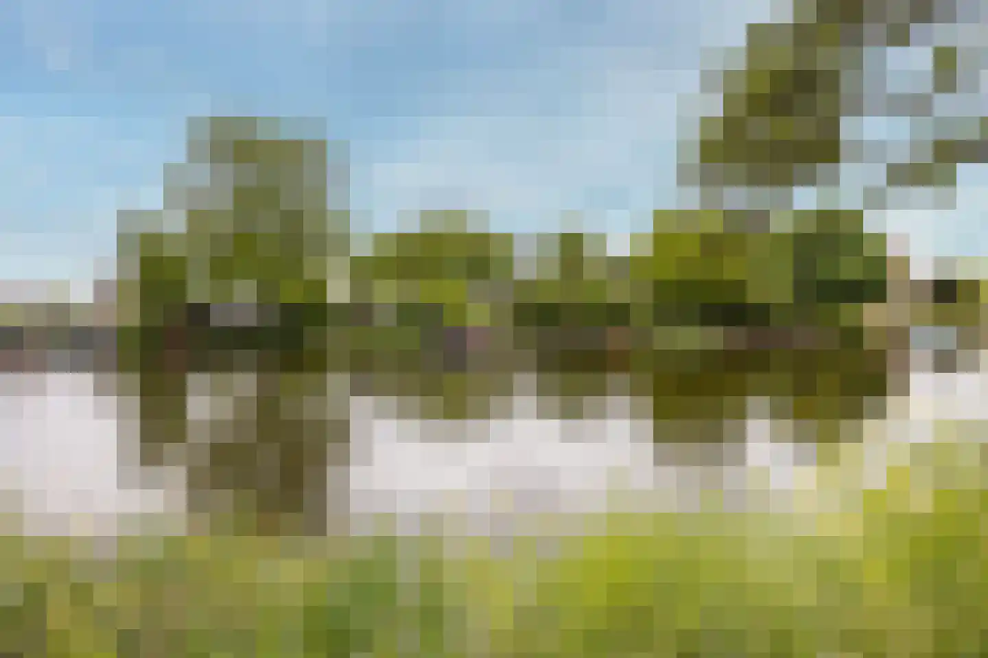 Mijndensedijk 86 Nieuwersluis thumbnail 58