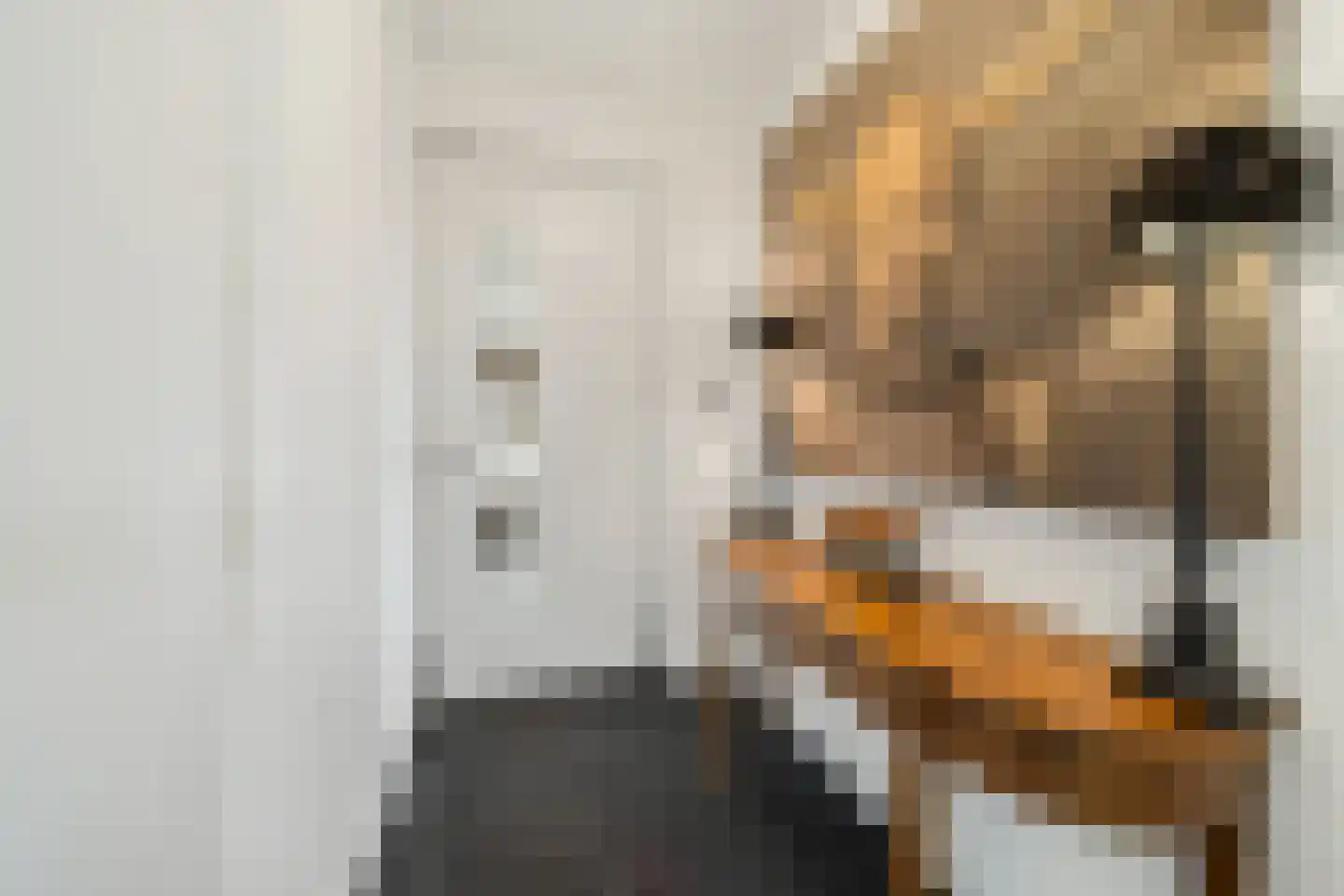 Mijndensedijk 86 Nieuwersluis thumbnail 8