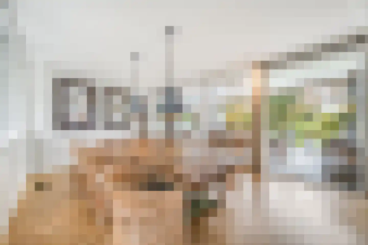Mijndensedijk 86 Nieuwersluis thumbnail 9