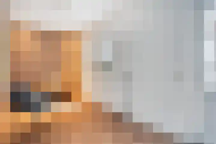 Mijnenweg 15 Neerkant thumbnail 29