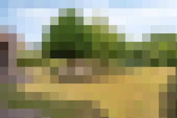 Mijnenweg 15 Neerkant thumbnail 50