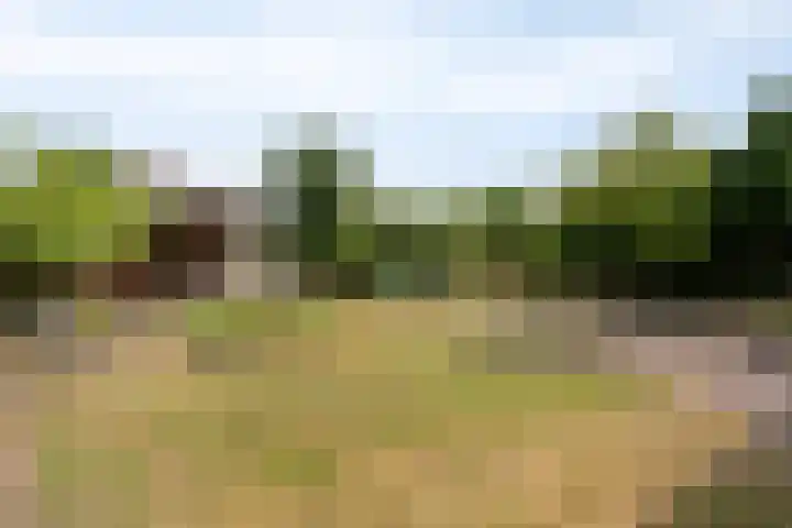 Mijnenweg 15 Neerkant thumbnail 51