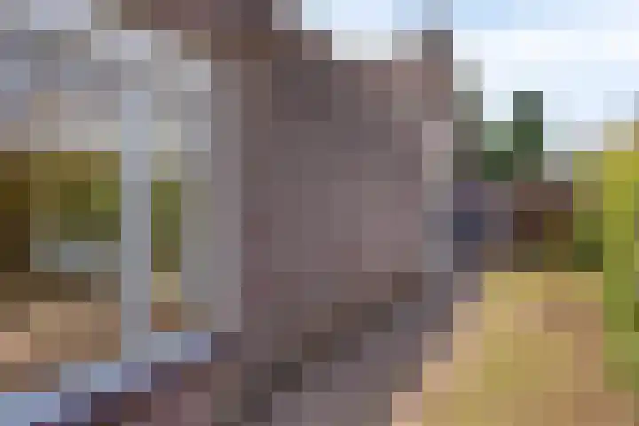 Mijnenweg 15 Neerkant thumbnail 52