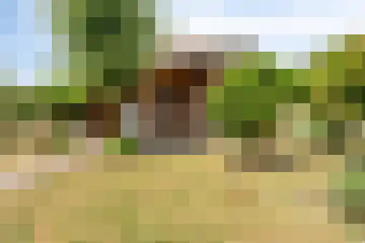 Mijnenweg 15 Neerkant thumbnail 57